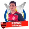 Fla ::  :: Brasileirão 2020 6