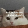 Ya tomáste awa
pinche idiota?