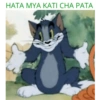 HATA MYA KATI CHA PATA
