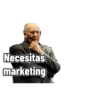 Una locura empresarial 13
