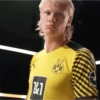 Haaland 7