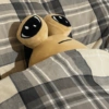 Pou 11