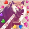 Cães e corações 8