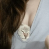 Котята 🔥🔥 16