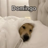 Domingo