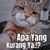 Apa Yang Kurang Ya.!?