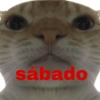 sábado
