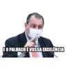 Macacos 7