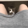 Котята 🔥🔥 15