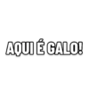 Figurinhas GALO 2021 2.0 13