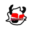 ElseleverxD 13
