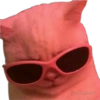 Funny pets 21