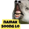 NAMAK SOONG LO