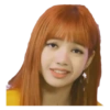 Blackpink 💟 15