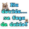 Frases variadas 11