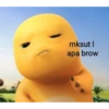 mksut | apa brow