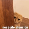 necesito atención