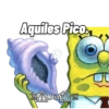Aquiles Pico Did