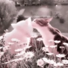Cute Cat 11