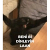 BENİ Bİ DİNLEYİN LAAN