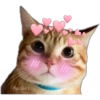 Gatitos 21