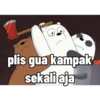 Ice bear my luvv 23