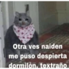 Memes para contestar 2 12
