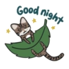 Good night