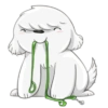 Cute dog 19