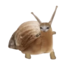 Kucing 20