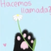 Hacemos llamada?