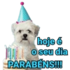 hoje é Ho seu dia PARABÉNS!!!