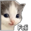 🚫Memes que no viste4🚫 16