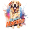 Mi perro Maraca