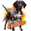 Mi perro Canelo