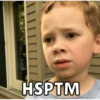 Gavin 12