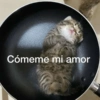 Michis con frases UwU🐱🍭🍨 14
