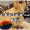 Homophobic dog 21