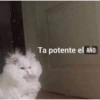 Pensamientos 3😅🤣 5