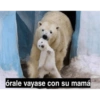 Memes para contestar 2 18