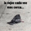 la vejez cada vez mas cerca...
