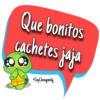 Pa’ ligar 17