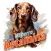 Mi perro Ketamina