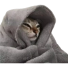 Funny pets 16