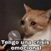 Gatitos SAD 😞 1 25