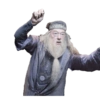HarryPotter8Albus Dumbledore 20