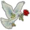 60 Figurinhas 11 49