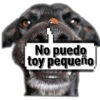 🚫Memes que no viste4🚫 19