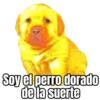 Perritos  22