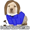 Perritos  21